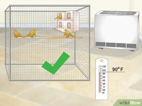 Лечить птичью оспу у канареек Шаг 5