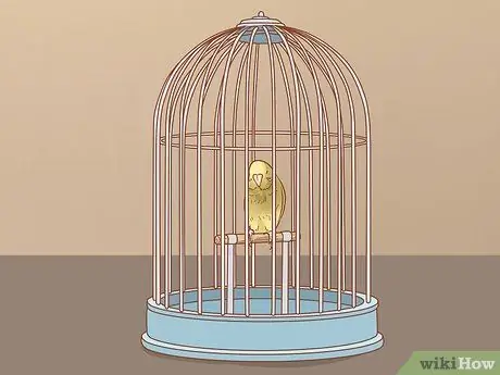 Сохранение нескольких канареек Шаг 1