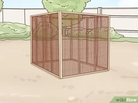 Сохранение нескольких канареек Шаг 10