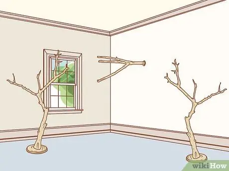 Сохранение нескольких канареек Шаг 14