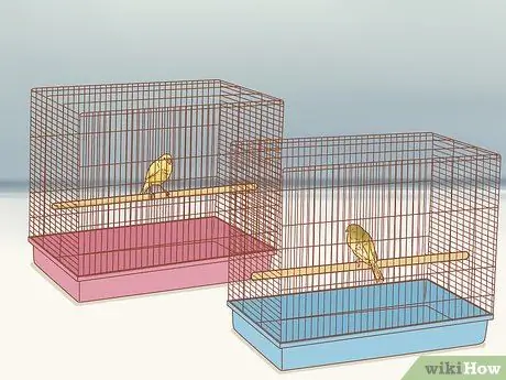 Сохранение нескольких канареек Шаг 3