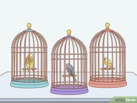 Сохранение нескольких канареек Шаг 7