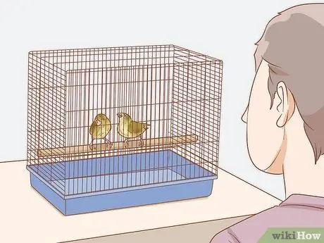 Сохранение нескольких канареек Шаг 9