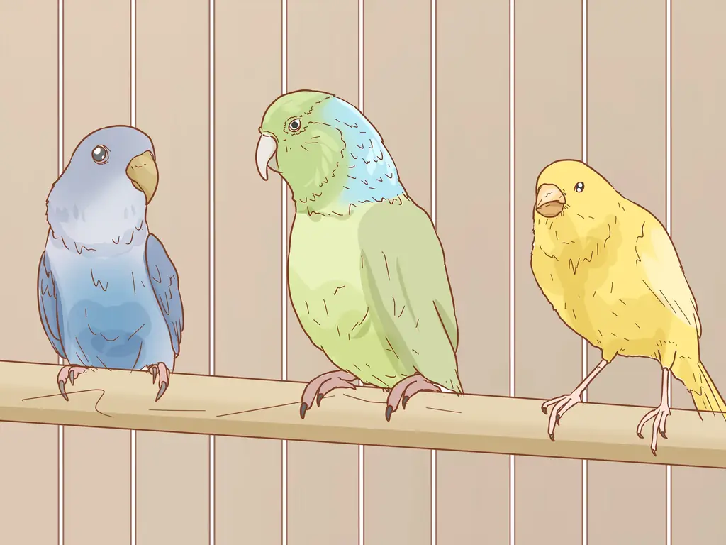 3 способа сохранить несколько канареек