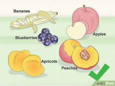 Покормить попугая кайке Шаг 3