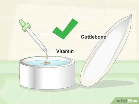 Покормить попугая кайке Шаг 8