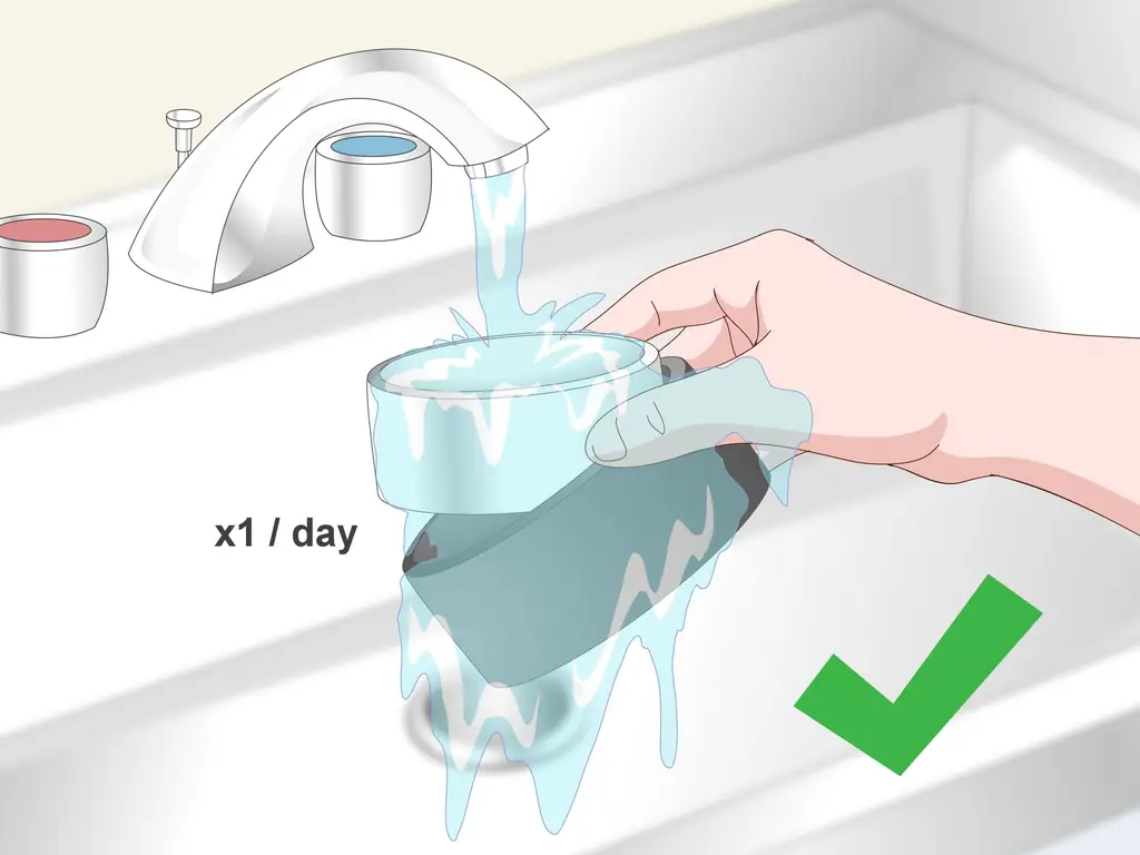 Как покормить попугая кайке: 10 шагов (с иллюстрациями)