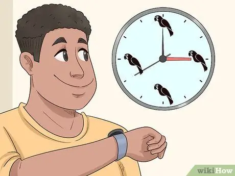 Узнайте, подходит ли вам попугай кайке Шаг 3