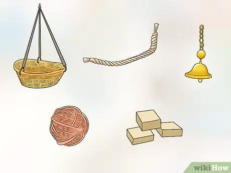 Узнайте, подходит ли вам попугай кайке Шаг 8