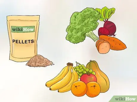 Узнайте, подходит ли вам попугай кайке Шаг 9