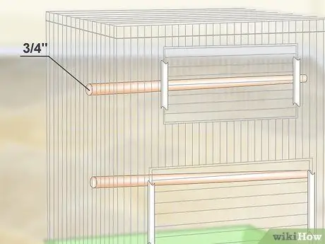 Создание среды обитания для попугаев кайков Шаг 10