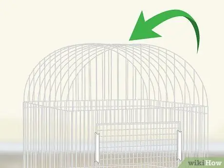 Создание среды обитания для попугаев кайков Шаг 4