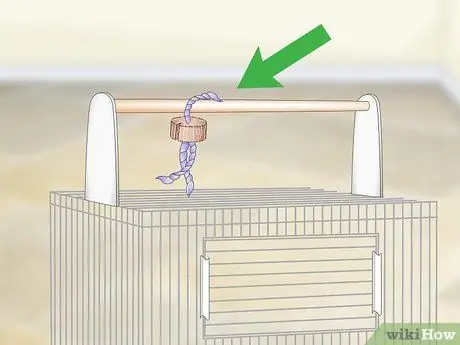 Создание среды обитания для попугаев кайков Шаг 5