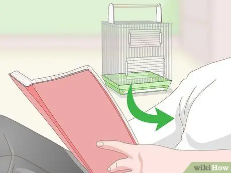 Создание среды обитания попугая кайке Шаг 6