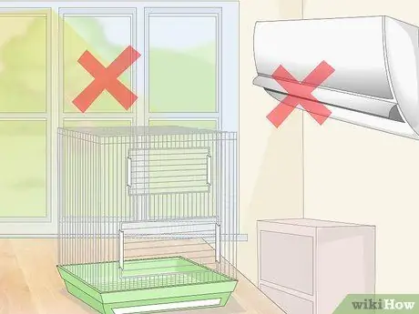 Создание среды обитания для попугаев кайков Шаг 7