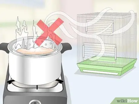 Создание среды обитания для попугаев кайков Шаг 8