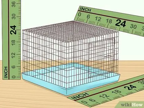 Выберите попугая кайке Шаг 8