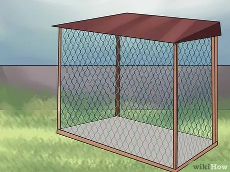 Узнайте, подходят ли вам голуби Шаг 3