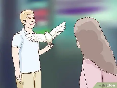 Выберите домашних голубей Шаг 7