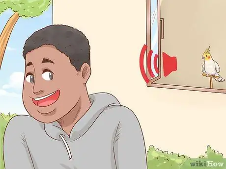 Узнайте, подходит ли вам корелла Шаг 4