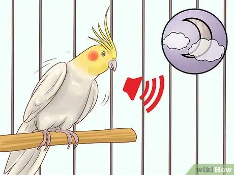 Узнайте, подходит ли вам корелла Шаг 7