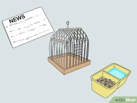 Купить птицу Шаг 12