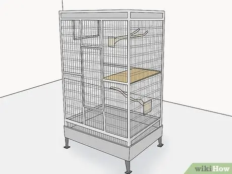 Купить птичку Step 13