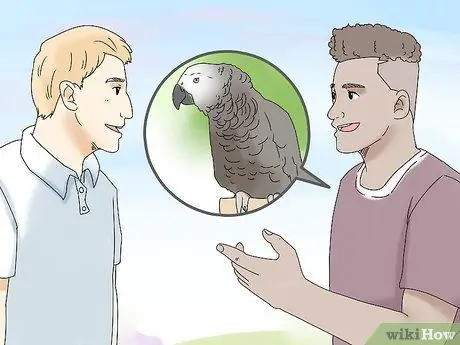 Купить птицу Шаг 5