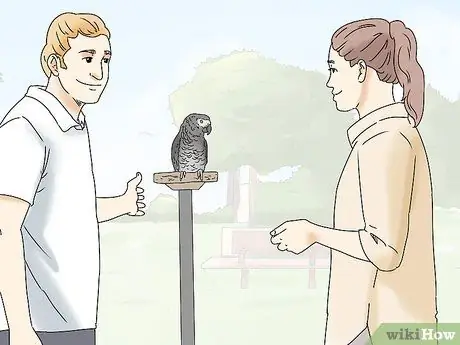 Купить птицу Step 6