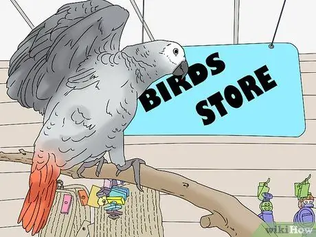 Купить птицу Step 7