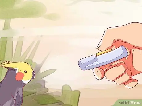 Приручить корелла Шаг 14