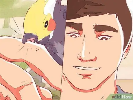 Приручить корелла Шаг 5