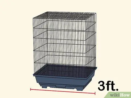 Выберите зяблика Шаг 10