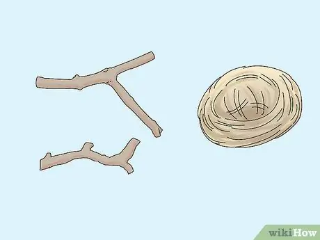 Выберите зяблика Шаг 11