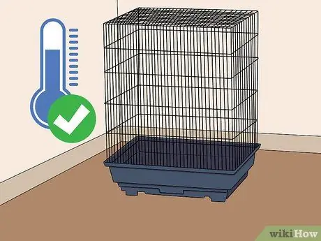 Выберите зяблика Шаг 12