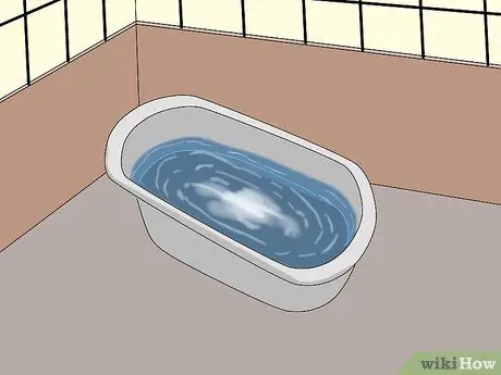 Выберите зяблика Шаг 15