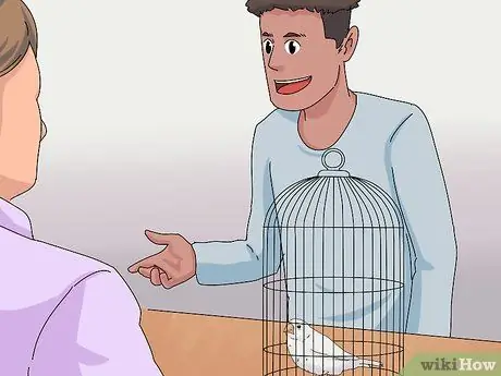 Выберите зяблика Шаг 4