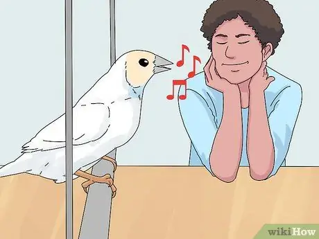 Выберите зяблика Шаг 5