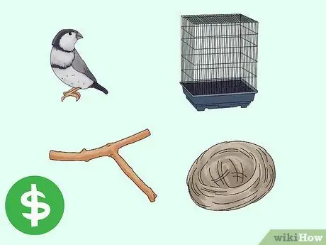 Выберите зяблика Шаг 9