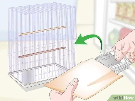 Узнайте, подходит ли вам красный пузатый попугай Шаг 5