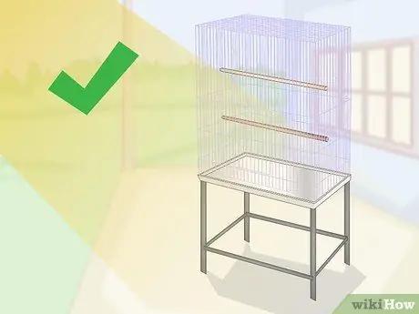 Узнайте, подходит ли вам красный пузатый попугай Шаг 6
