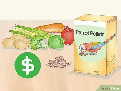 Узнайте, подходит ли вам красный пузатый попугай Шаг 7