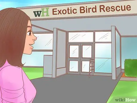 Узнайте, подходят ли вам лори и лорикеты Шаг 14