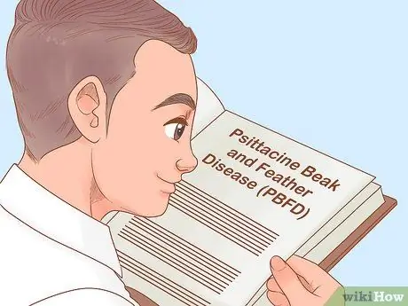 Узнайте, подходят ли вам лори и лорикеты Шаг 6