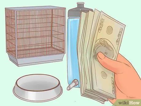 Узнайте, подходят ли вам лори и лорикеты Шаг 9