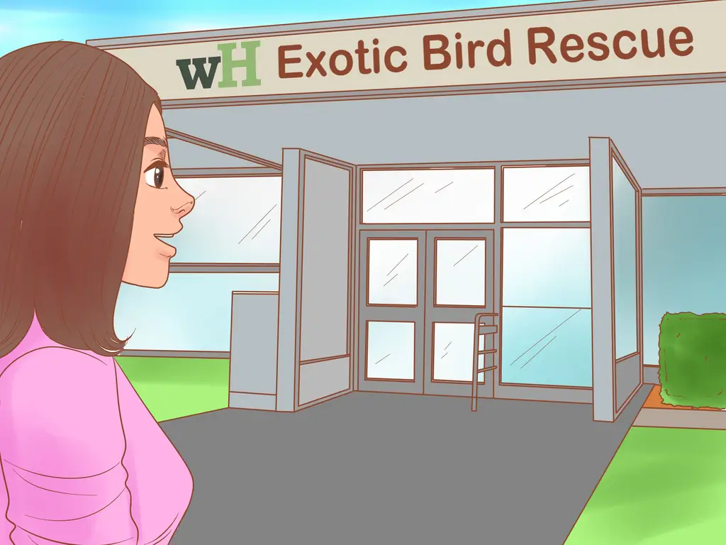 3 способа узнать, подходят ли вам лори и лорикеты