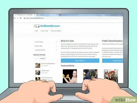 Выберите лори или лорикет Шаг 10