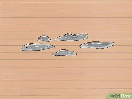 Выберите лори или лорикет Шаг 8