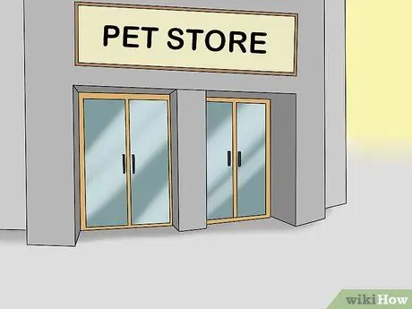 Выберите лори или лорикет Шаг 9