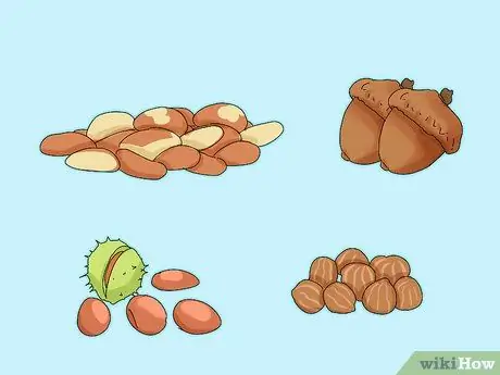 Накормите неразлучников, шаг 5